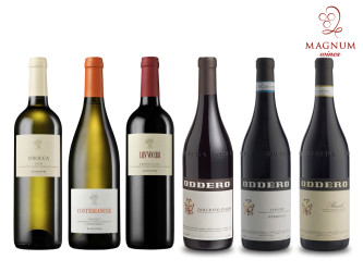 Set vín z Piemontu z vinařství Coppo a Oddero - 6ks - SLEVA 10%